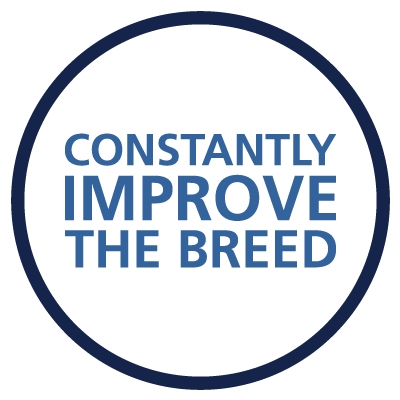 Constantly Improve the Breed Icon